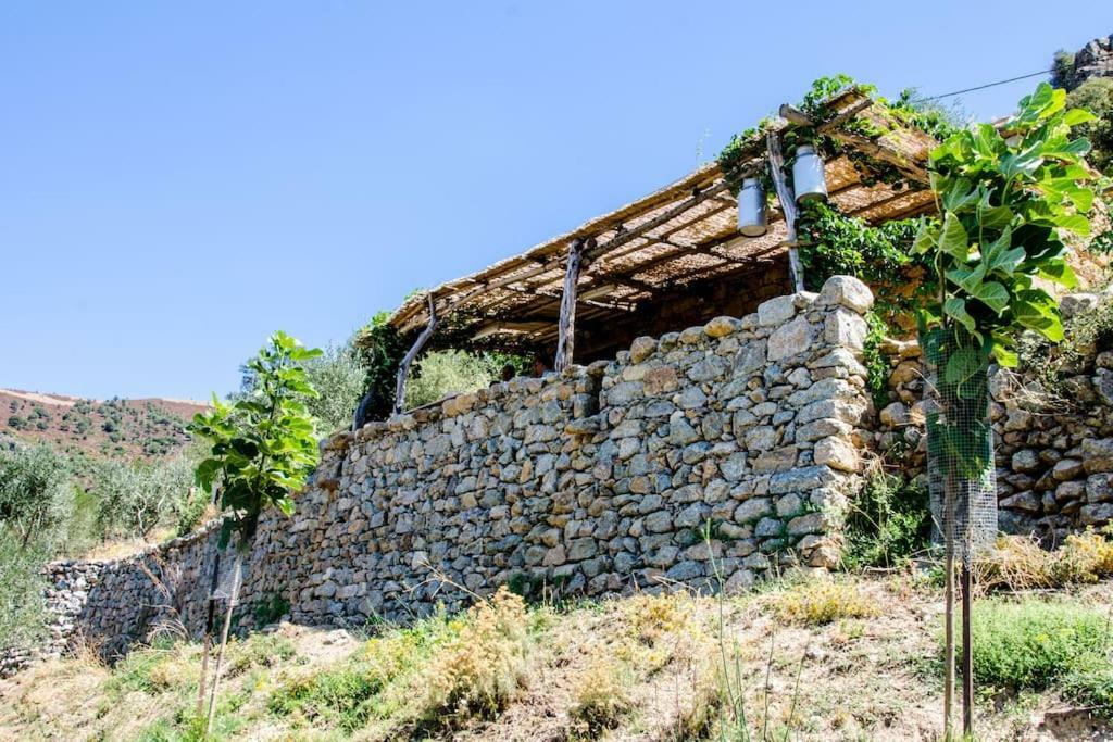 Les Bergeries "Le Figuier" Hotel Omessa Exterior foto