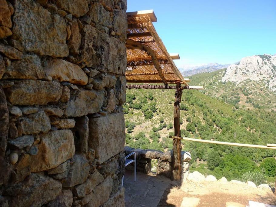 Les Bergeries "Le Figuier" Hotel Omessa Exterior foto