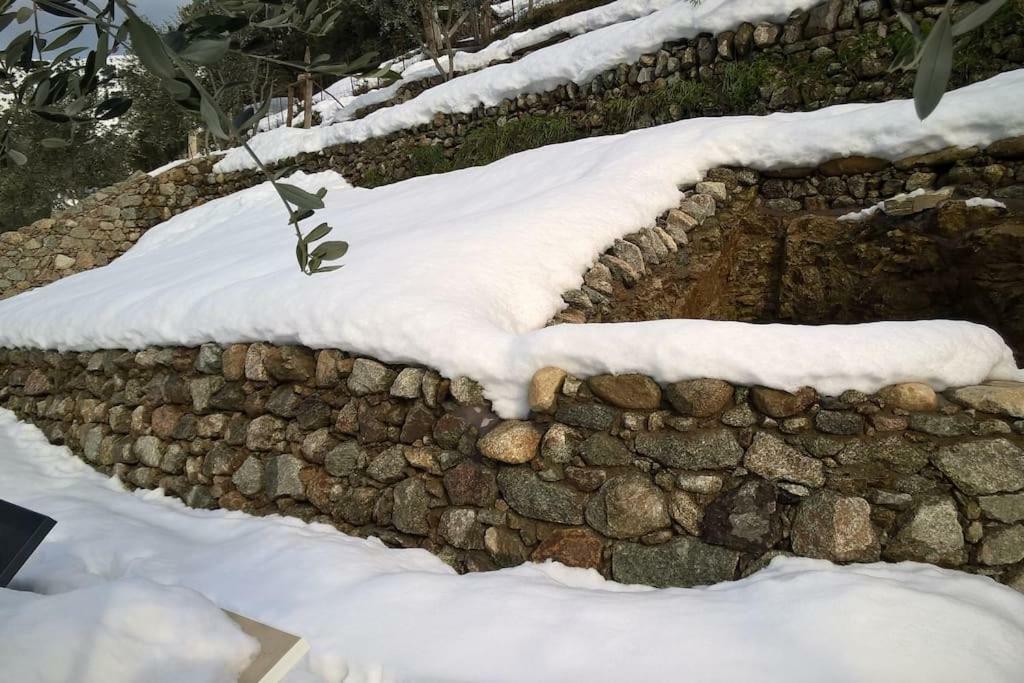 Les Bergeries "Le Figuier" Hotel Omessa Exterior foto