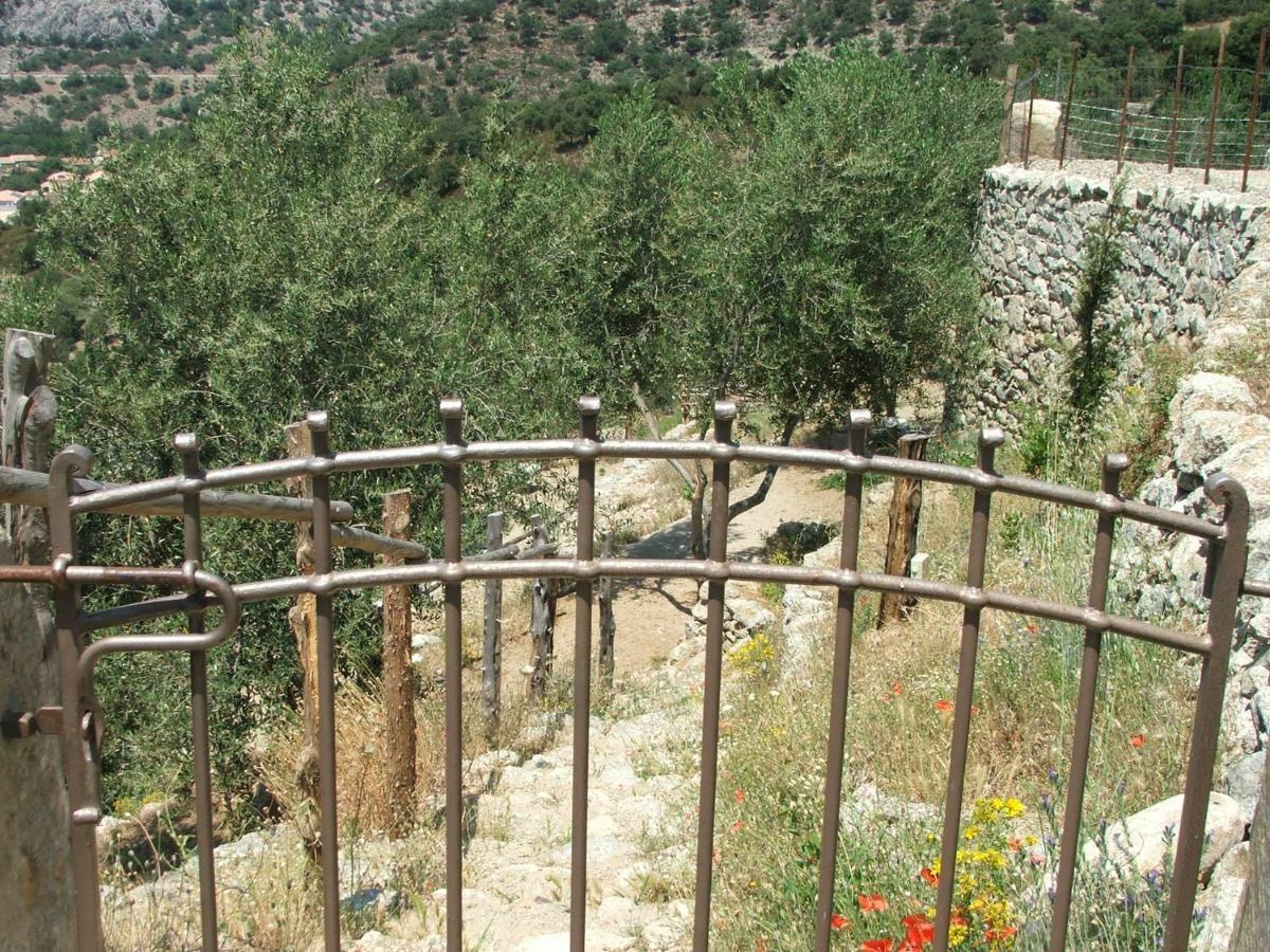 Les Bergeries "Le Figuier" Hotel Omessa Exterior foto