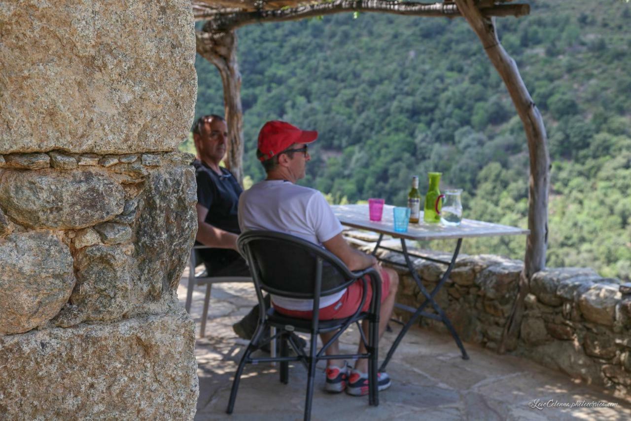 Les Bergeries "Le Figuier" Hotel Omessa Exterior foto