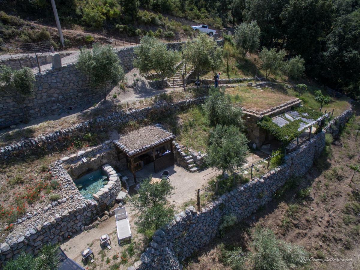 Les Bergeries "Le Figuier" Hotel Omessa Exterior foto