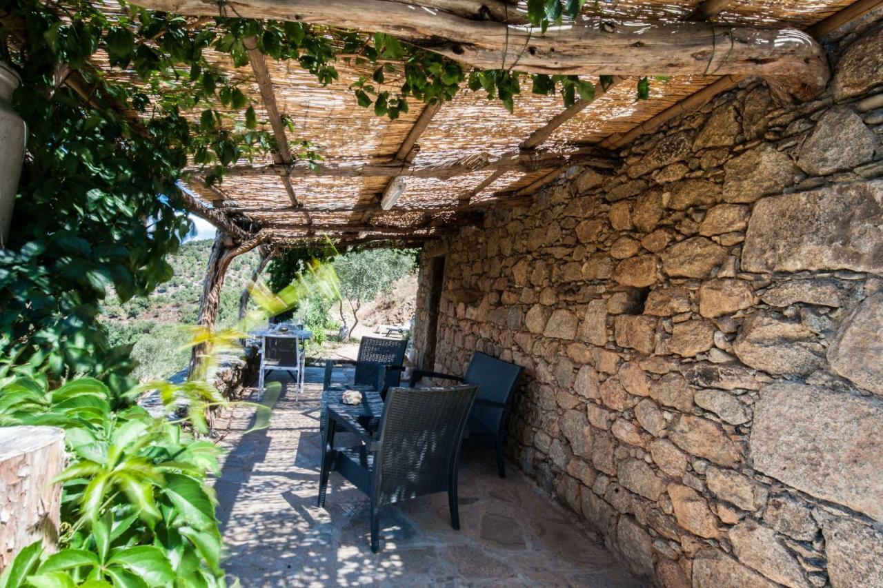 Les Bergeries "Le Figuier" Hotel Omessa Exterior foto
