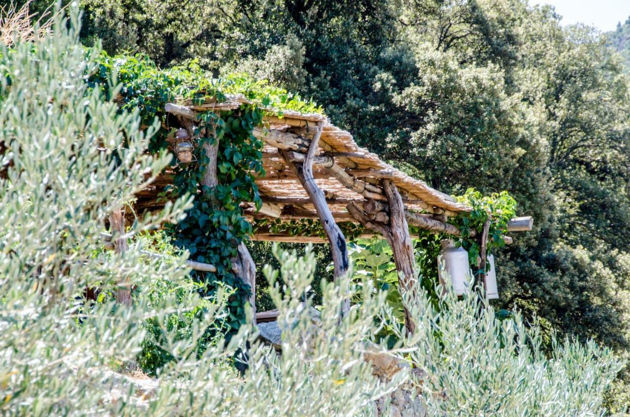 Les Bergeries "Le Figuier" Hotel Omessa Exterior foto
